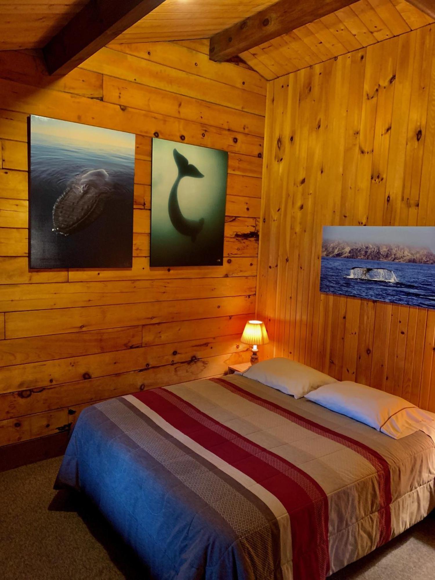 Vipilodge Janvrin Harbour Exterior photo